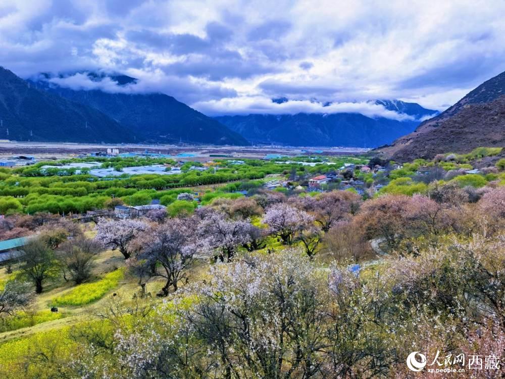 桃花從中的“童話小鎮(zhèn)”。人民網(wǎng) 李海霞攝