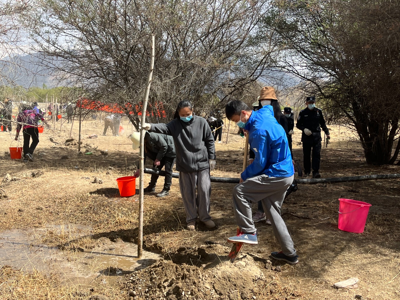 植樹現(xiàn)場(chǎng)，大家分工明確，配合默契(2000565)-20220420090303.jpg