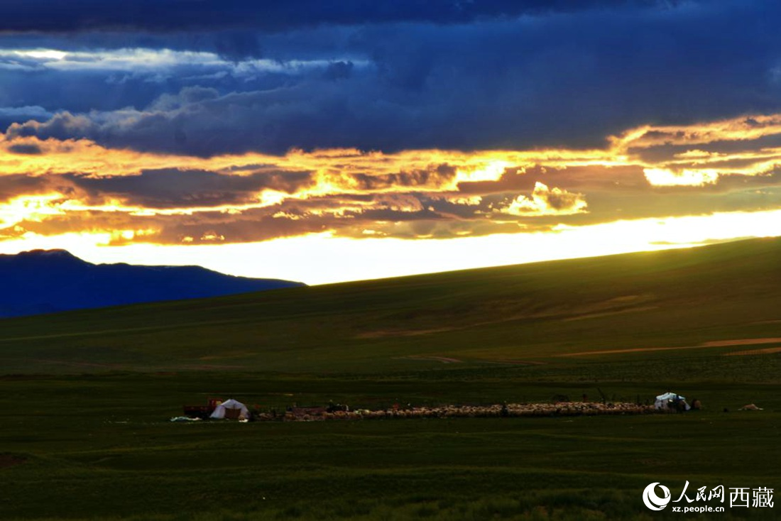 黃昏下的帳篷，牧民過著幸福生活。 人民網(wǎng) 李海霞攝