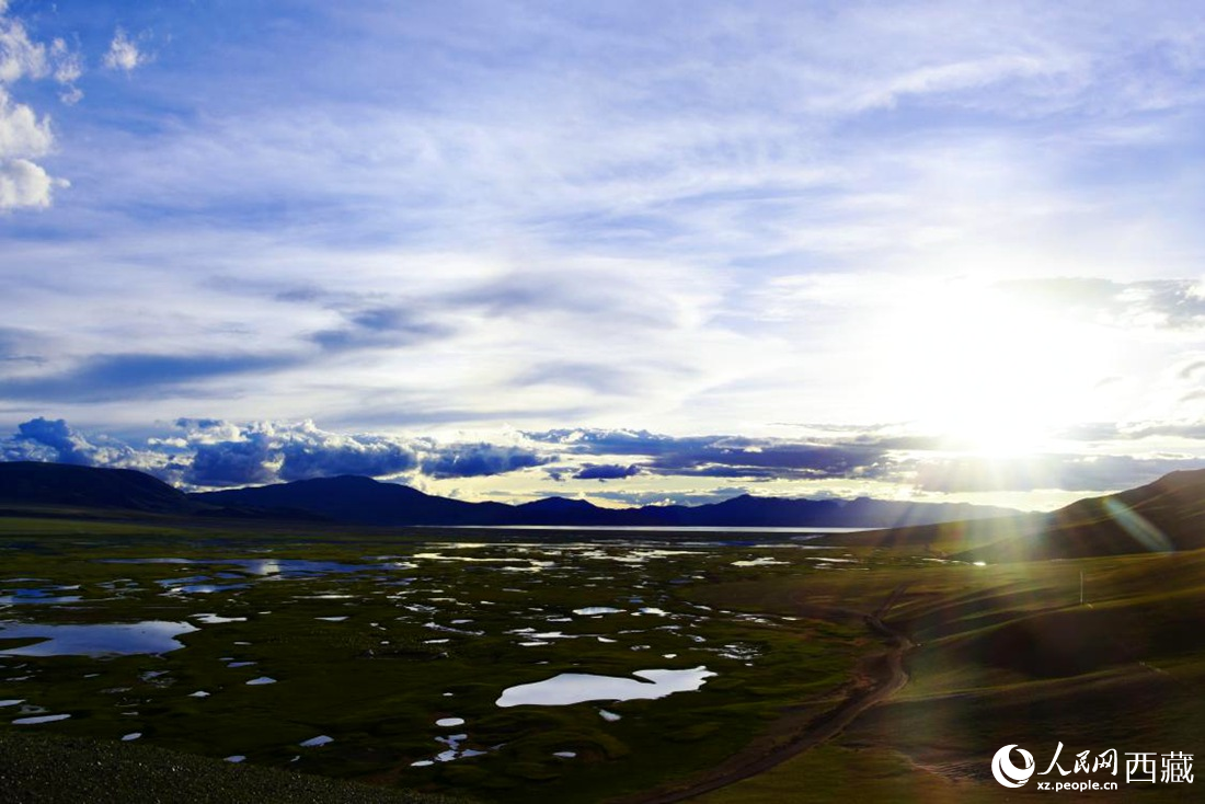 七月的羌塘草原處處是景。人民網(wǎng) 李海霞攝