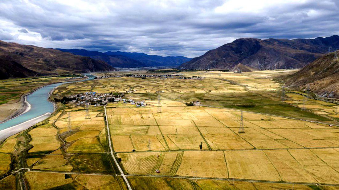 等待豐收的田野。洛克攝