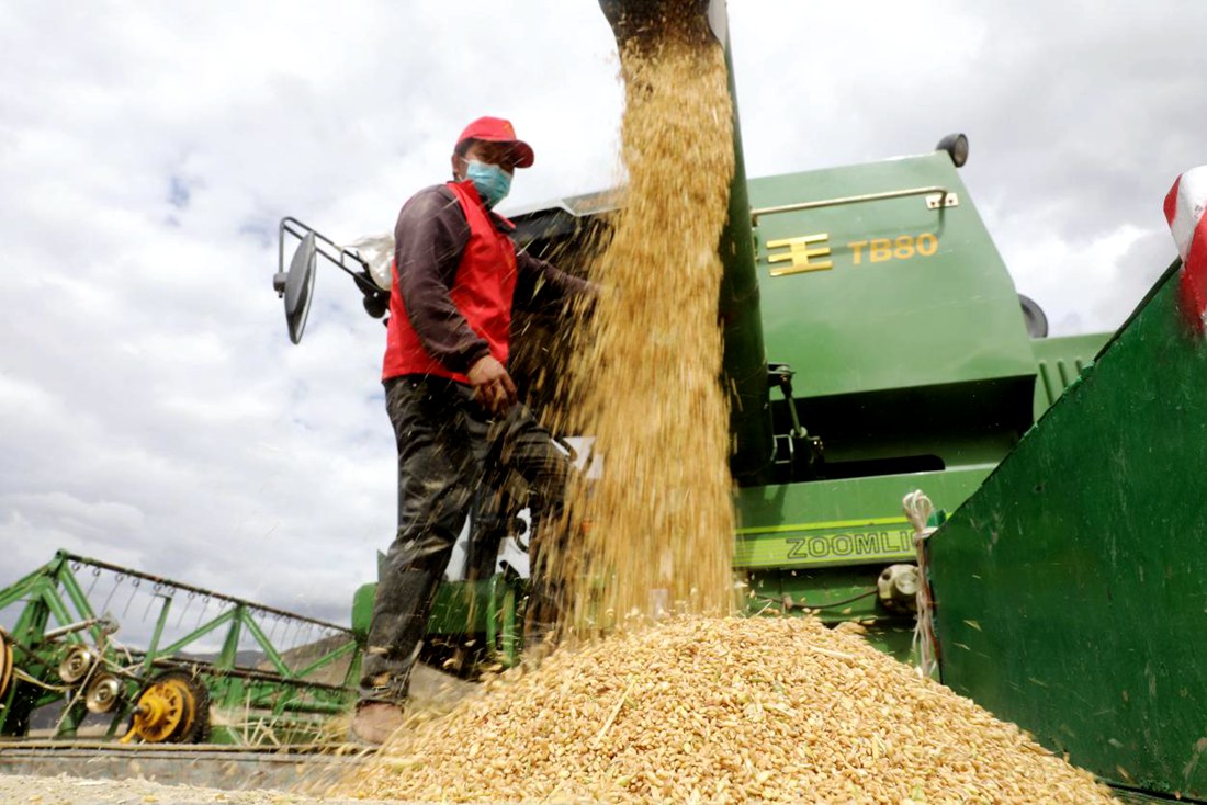 顆粒歸倉。洛克攝