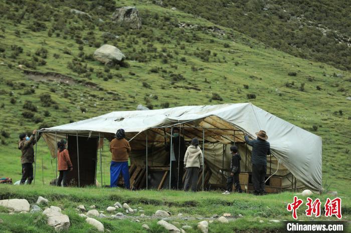 圖為牧民們?cè)谇锛灸翀?chǎng)搭建帳篷?！÷蹇?攝