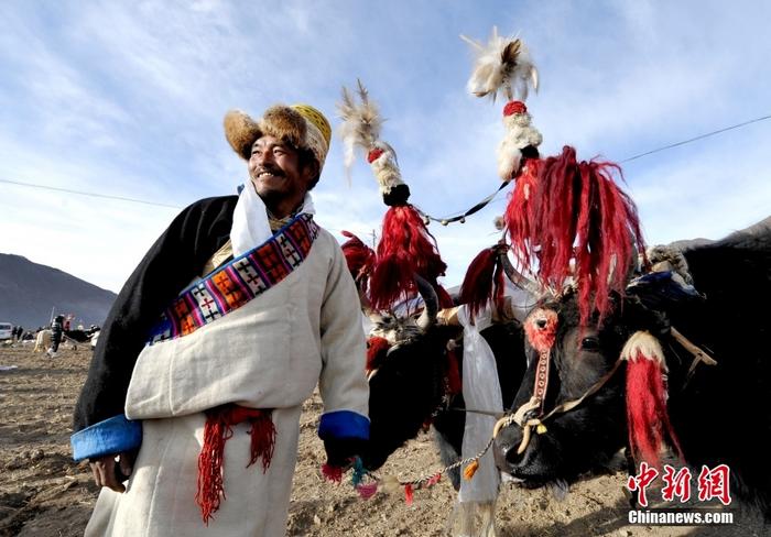 資料圖為2013年3月16日，拉薩市堆龍德慶區(qū)德慶村的農(nóng)民牽著牦牛參加春耕儀式，按照傳統(tǒng)方式由牦牛開(kāi)第一犁。 <a target='_blank' href='/'><p  align=