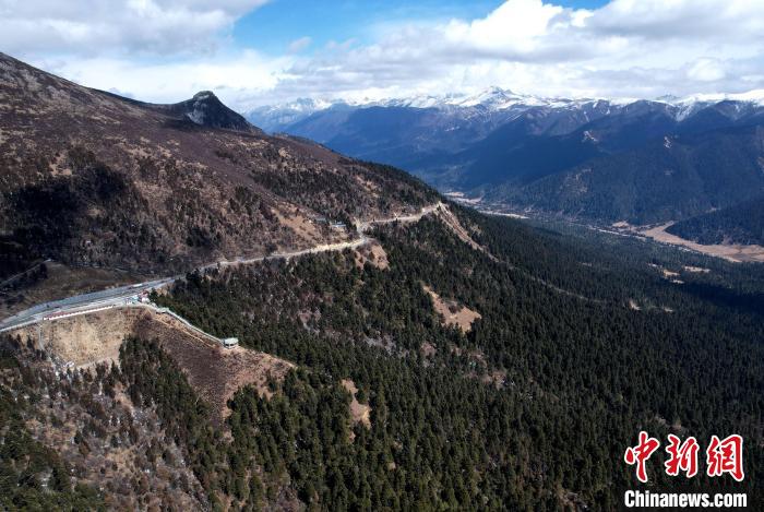 2月17日，西藏林芝魯朗林海。(無人機(jī)照片) 李林 攝