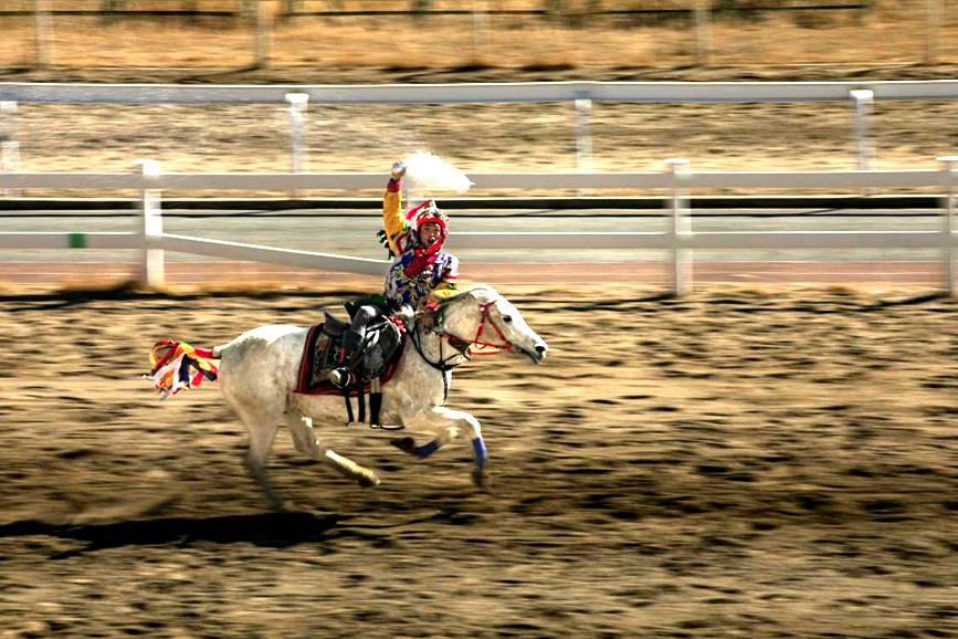藏歷新年，精彩的馬術(shù)表演。張靜攝