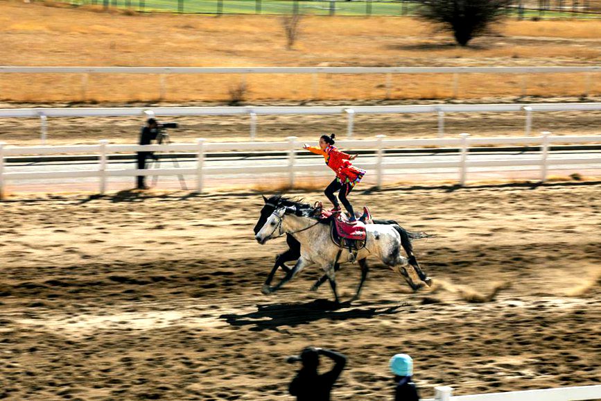 藏歷新年，精彩的馬術(shù)表演。張靜攝