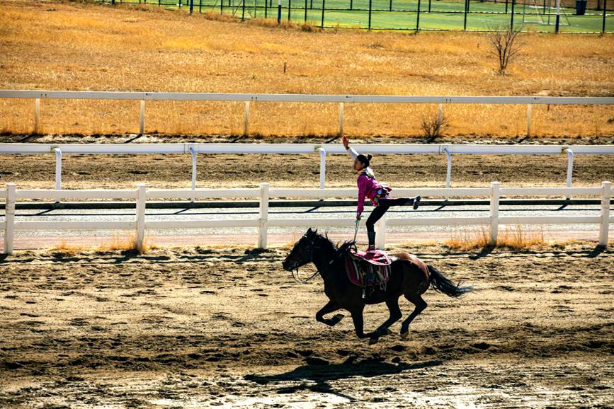 藏歷新年，精彩的馬術(shù)表演。張靜攝