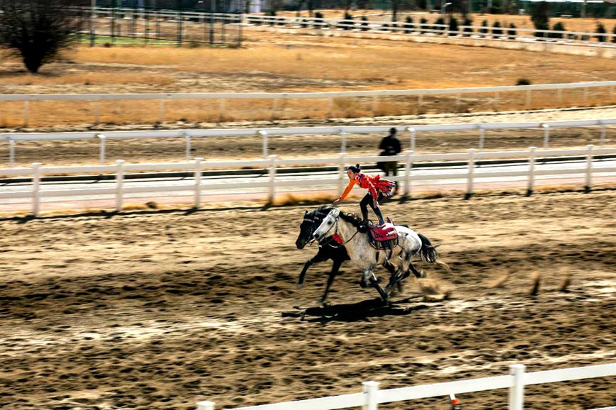 藏歷新年，精彩的馬術(shù)表演。張靜攝