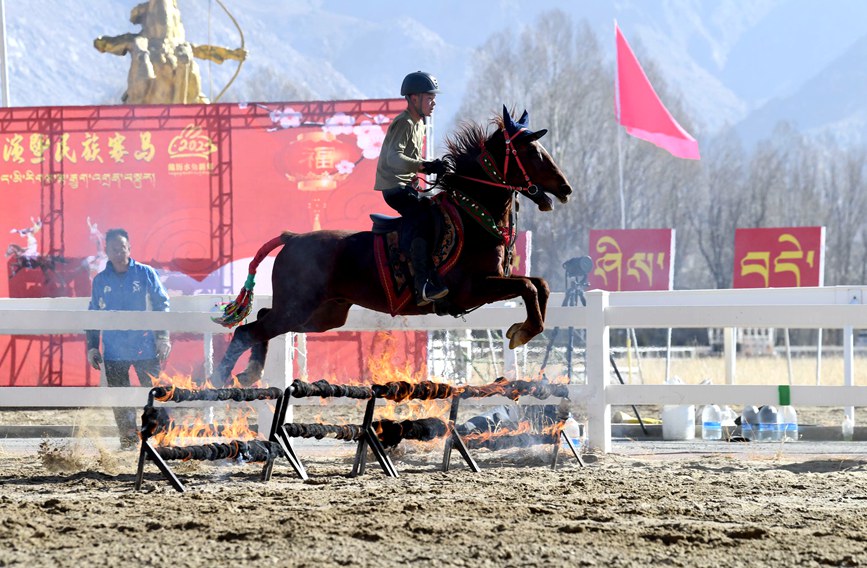 藏歷新年，精彩的馬術(shù)表演。潘多攝