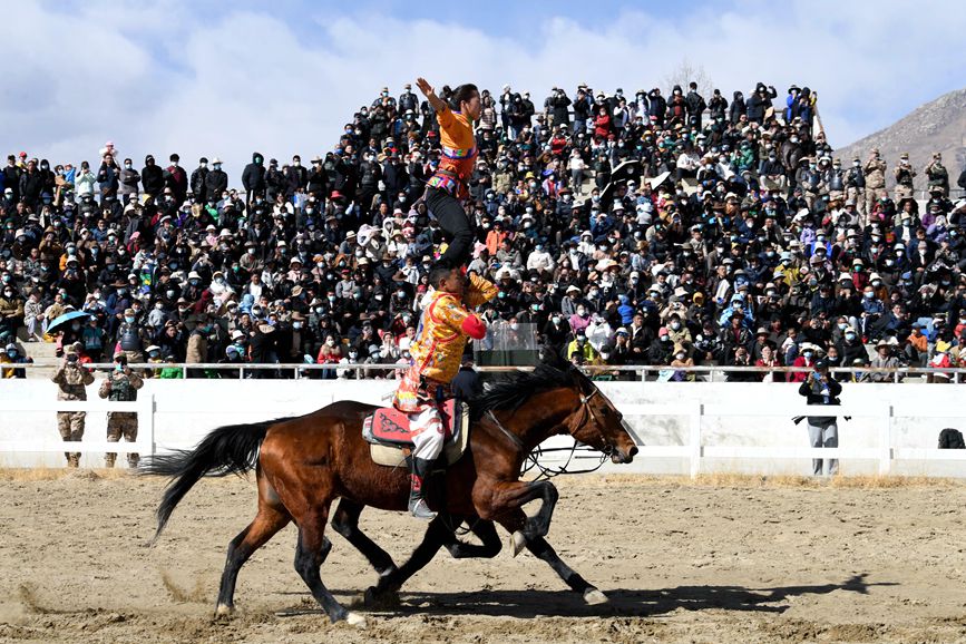 藏歷新年，精彩的馬術(shù)表演。潘多攝