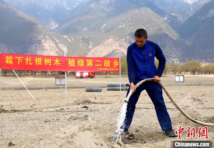林芝市巴宜區(qū)森林消防中隊志愿服務隊澆水灌溉?！∥骼@拉翁 攝