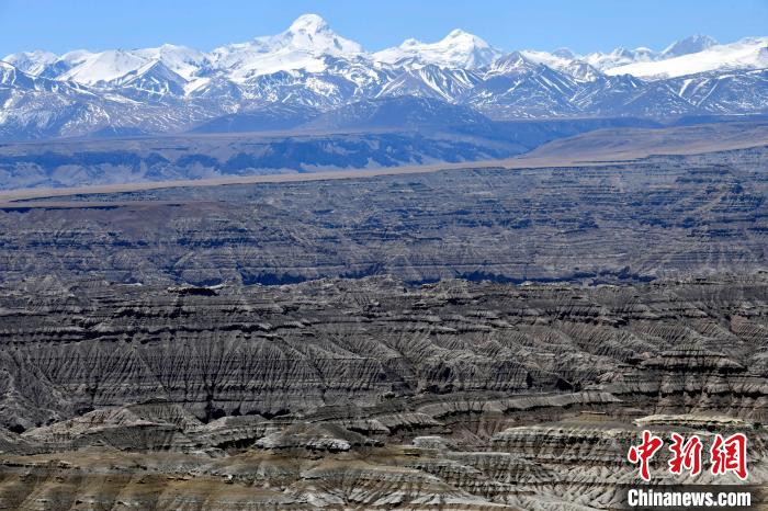 4月5日，西藏阿里札達(dá)土林?！±盍?攝