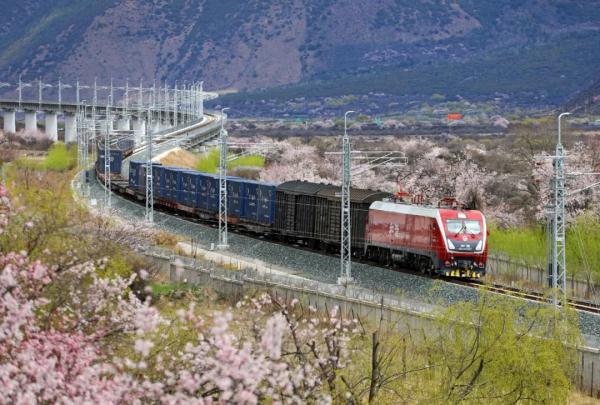 人間桃花源！林芝桃花有多絕？