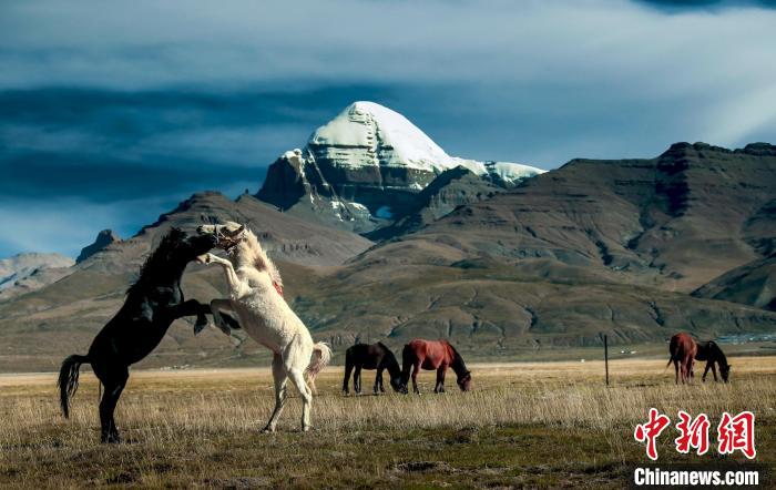 圖為參展攝影師拍攝的西藏阿里岡仁波齊?！≈鬓k方 供圖