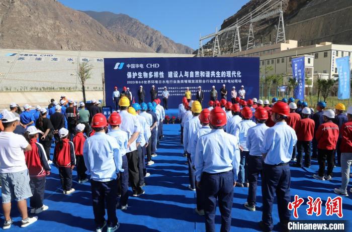 圖為蘇洼龍水電站魚類放流現(xiàn)場?！√K洼龍水電站供圖