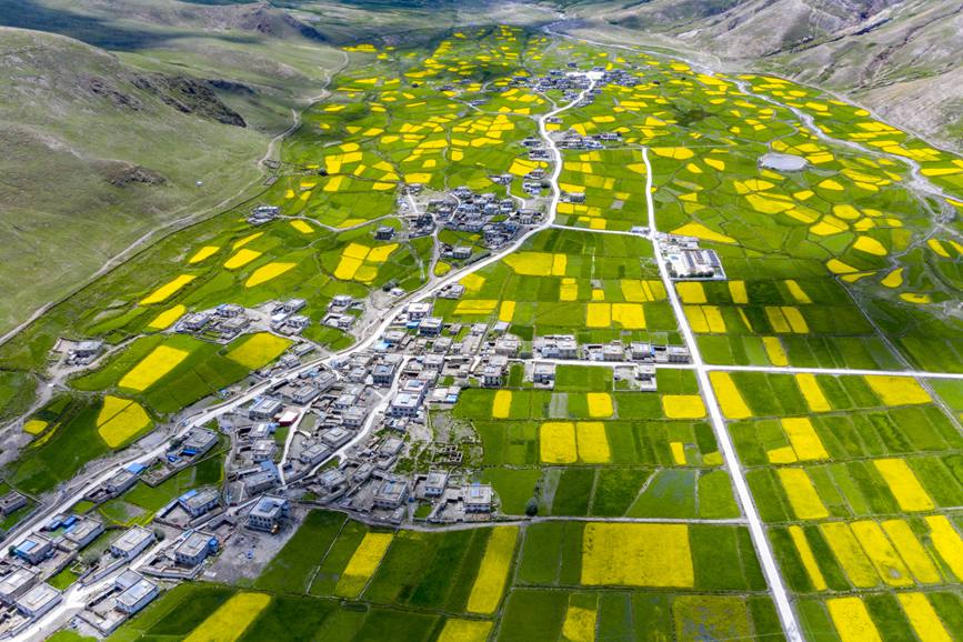 航拍道布龍村，依山傍水，阡陌縱橫。
