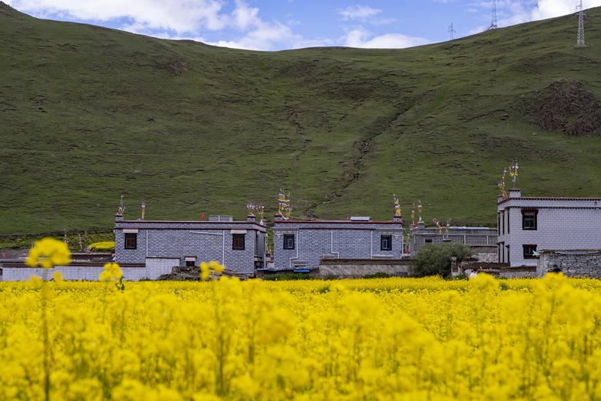 環(huán)境優(yōu)美的道布龍村一角。