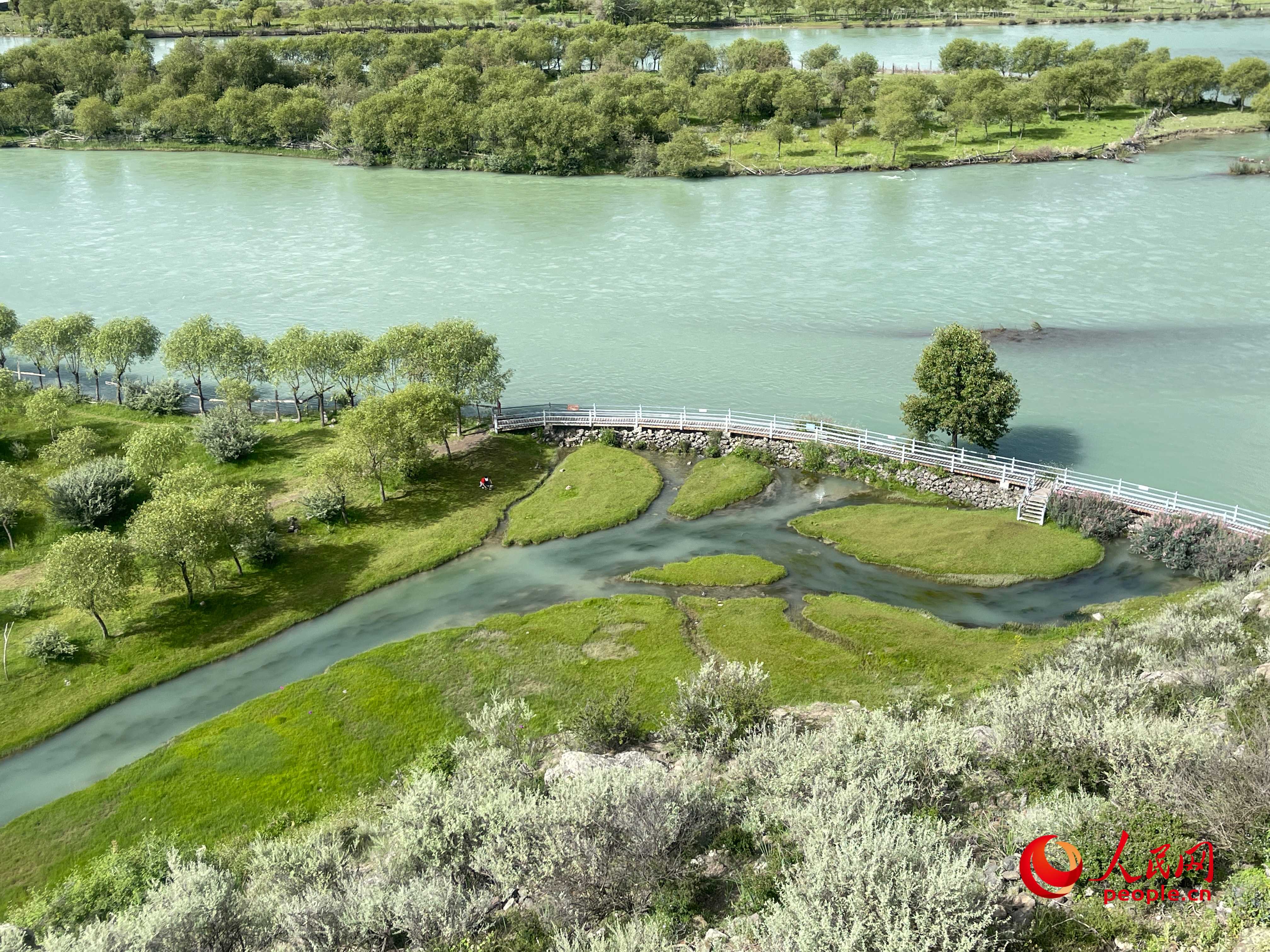 夏日的雅尼國家濕地公園生機(jī)盎然，如詩如畫。人民網(wǎng) 周靜圓攝