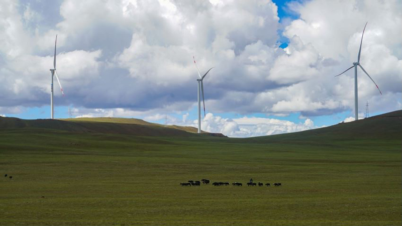 西藏措美哲古風(fēng)電場(chǎng)首批3.6兆瓦風(fēng)電機(jī)組并網(wǎng)發(fā)電。受訪(fǎng)者供圖