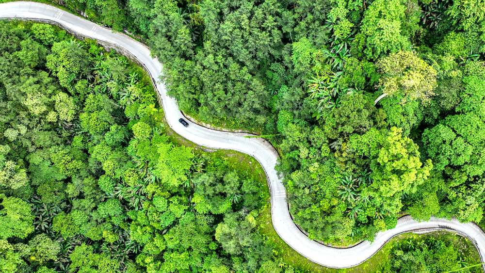 穿行于綠色間，生態(tài)優(yōu)良。張澤坤攝