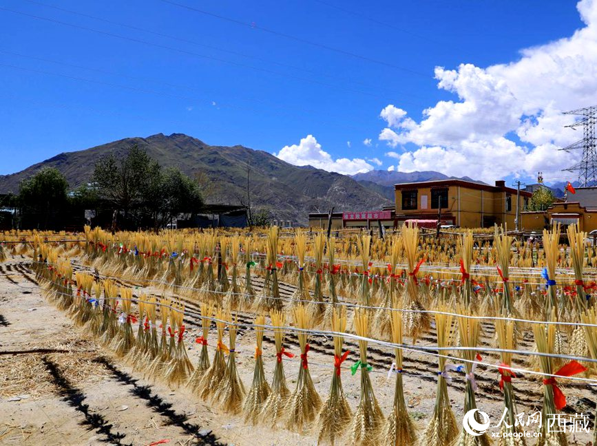 幸福生活曬出來(lái)。人民網(wǎng) 李海霞攝