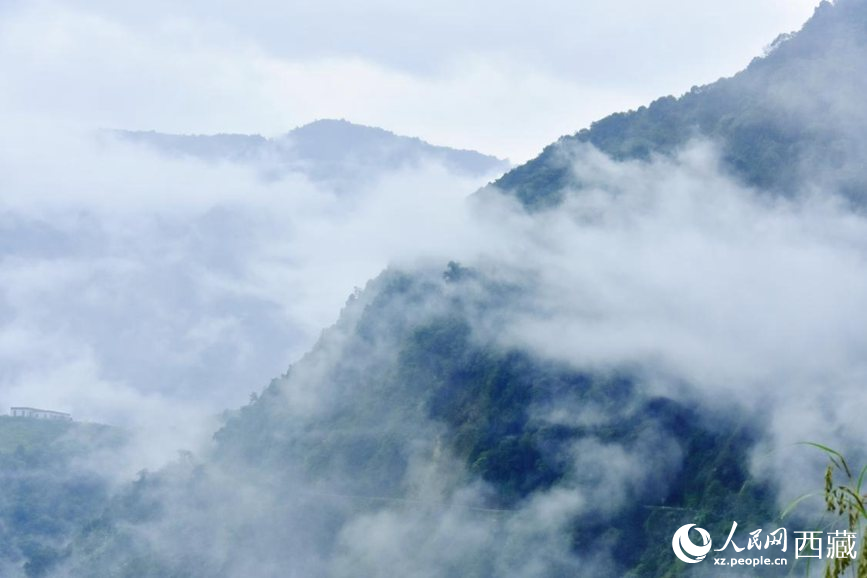 秋日里的墨脫云海。人民網(wǎng) 李海霞攝