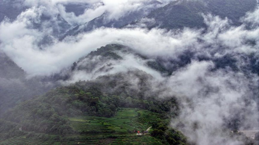 秋日里的墨脫云海。張澤坤攝