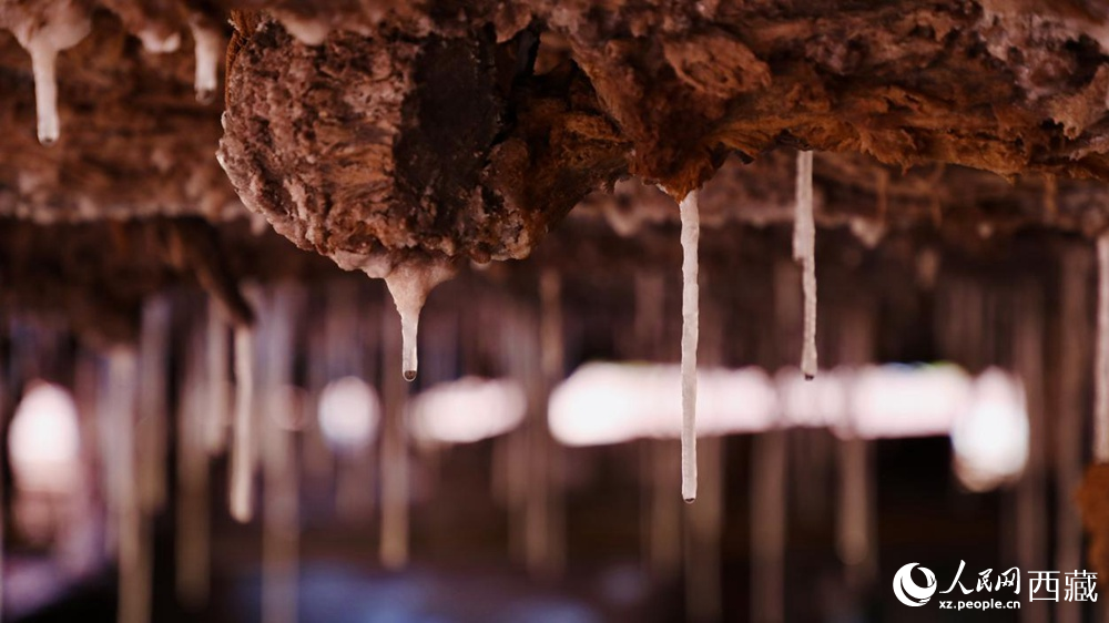 自然滲下的鹽柱結(jié)晶。人民網(wǎng)記者 次仁羅布攝