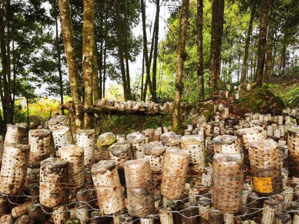 幾代建設(shè)者，歷經(jīng)半個(gè)多世紀(jì)完成！這是一條怎樣的公路？