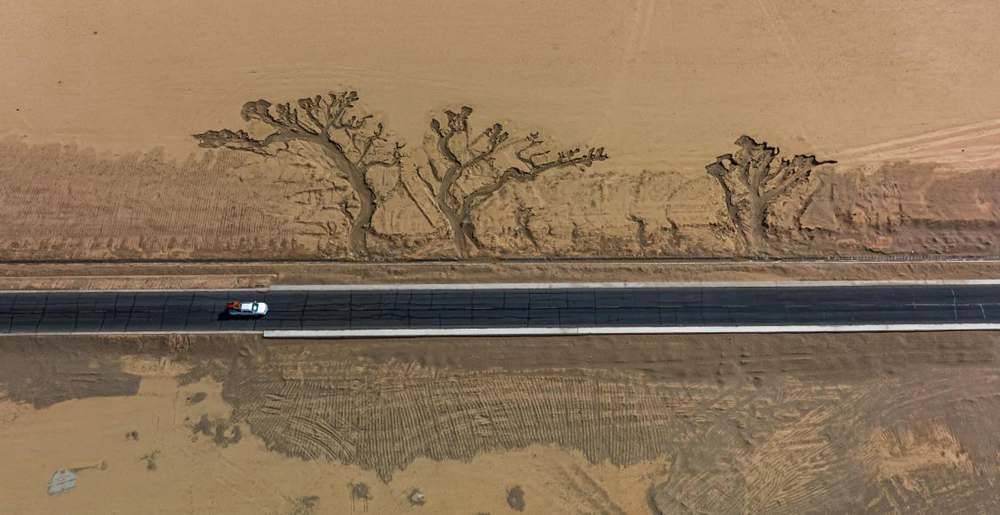 位于國道216沿線的“大地之樹”。邊巴多吉攝