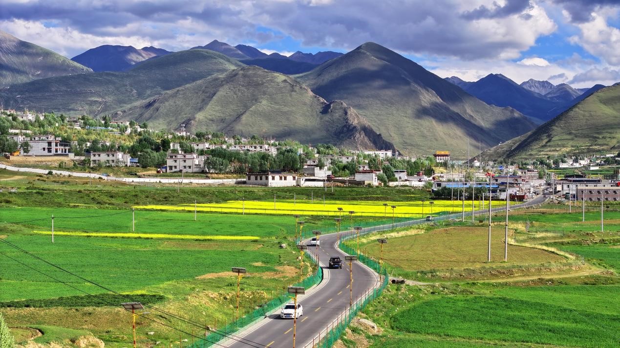 油菜花開“金”滿地。墨竹工卡縣委宣傳部 洛克攝