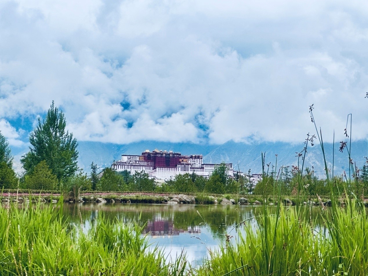 在南山公園遠(yuǎn)眺布達拉宮。人民網(wǎng)記者 益西康珠攝