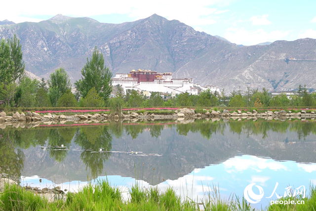 雄偉的布達拉宮與綠意蔥蘢的南山隔河相望。人民網(wǎng)記者 劉凡攝