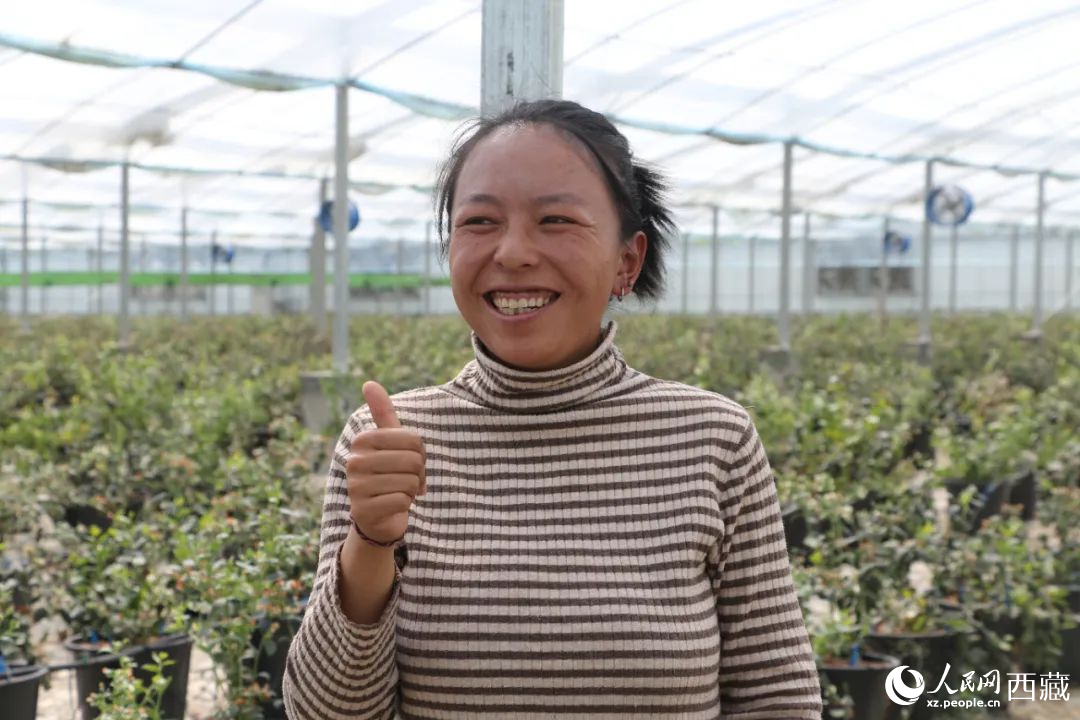 措姆品嘗自己精心照料的藍(lán)莓后，豎起了大拇指。次仁龍布攝