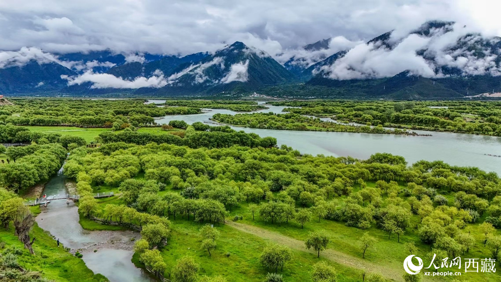 鳥瞰盛夏季節(jié)的雅尼濕地風(fēng)光。人民網(wǎng)記者 次仁羅布攝