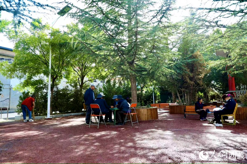 老人們?cè)诰G樹(shù)成蔭的“社區(qū)會(huì)客廳”中對(duì)弈休憩。人民網(wǎng)記者 次仁羅布攝