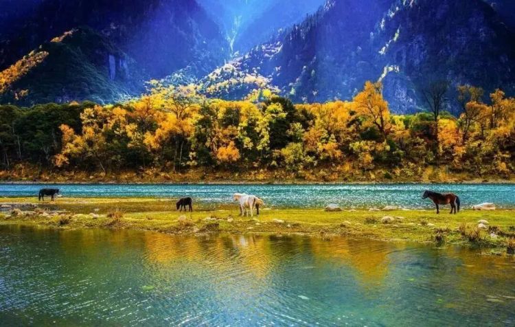 懂西藏的人，一定不會錯過林芝的秋天