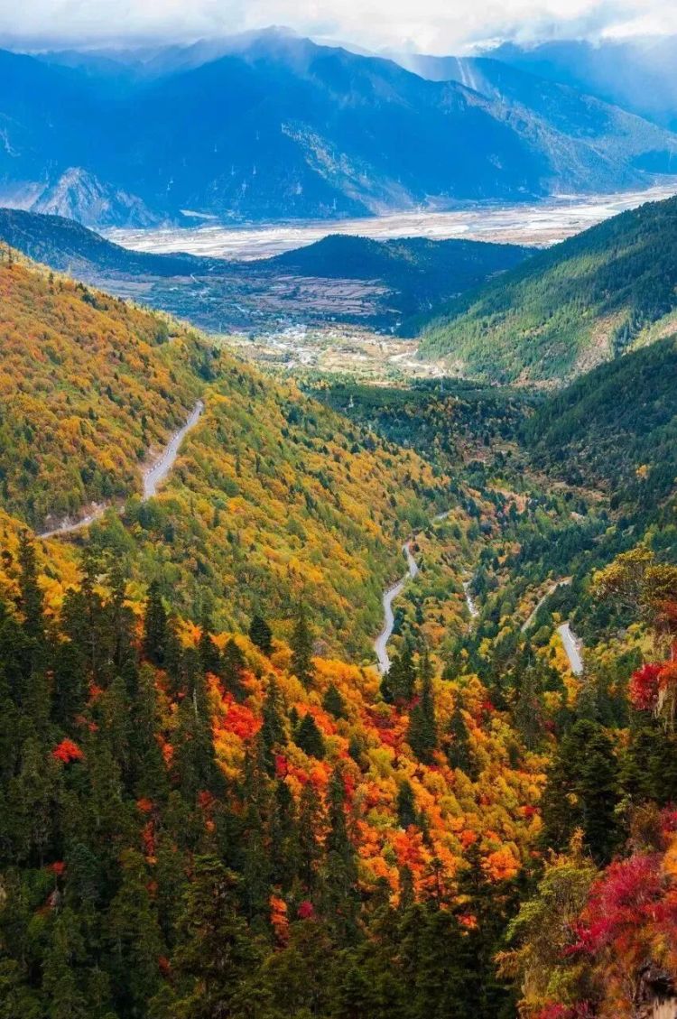 懂西藏的人，一定不會錯過林芝的秋天