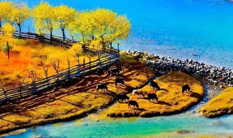 懂西藏的人，一定不會錯過林芝的秋天