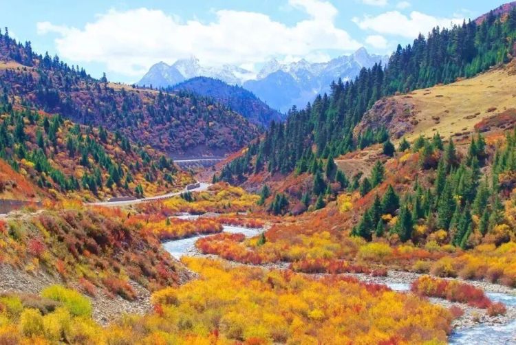 懂西藏的人，一定不會錯過林芝的秋天