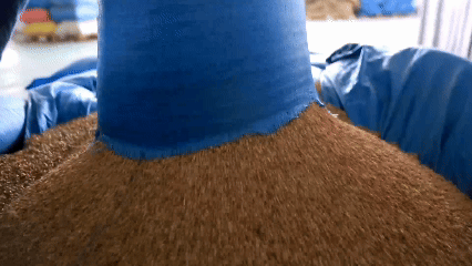 青稞“蛻變”，牦?！俺鋈Α?！看西藏農(nóng)牧民的“十四五”豐收答卷