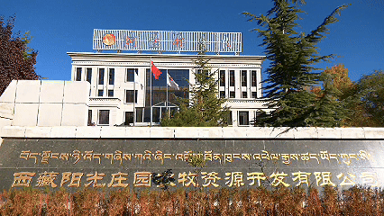 青稞“蛻變”，牦?！俺鋈Α?！看西藏農(nóng)牧民的“十四五”豐收答卷