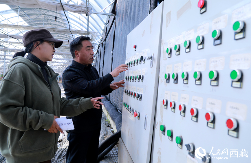 技術(shù)人員正在調(diào)整溫室智能環(huán)境調(diào)控系統(tǒng)。人民網(wǎng)記者 吳雨仁攝