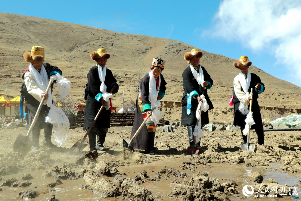 身著傳統(tǒng)服飾的拉東村村民手持鐵鍬疏通水道、引水灌溉，渠水奔涌入田，開(kāi)啟春耕生產(chǎn)。人民網(wǎng)記者 吳雨仁攝