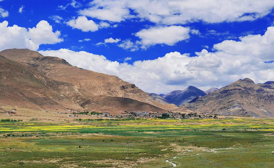 羌塘草原上的美好圖景。人民網(wǎng) 李海霞攝