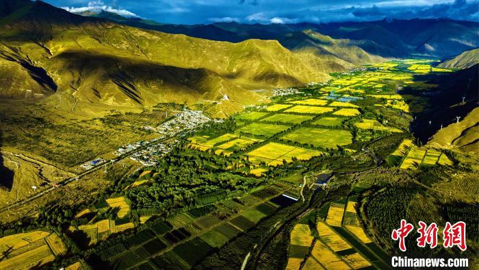 圖為山南雍布拉康附近農(nóng)田?！埼?攝