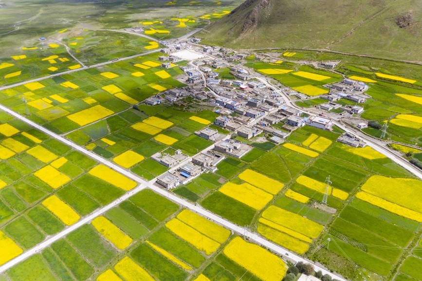 航拍道布龍村，依山傍水，阡陌縱橫。