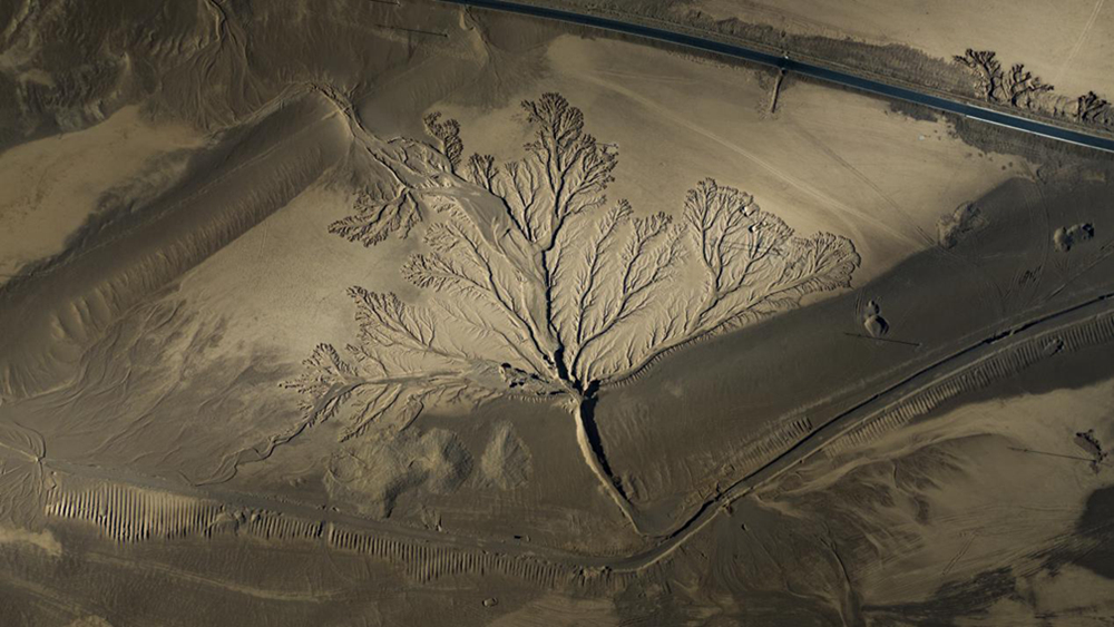 無人機(jī)視角下的西藏阿里地區(qū)改則縣“大地之樹”景觀。尼瑪多吉攝