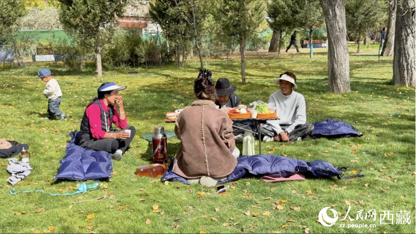 圖為市民在公園內(nèi)聚會。人民網(wǎng)記者 次仁羅布攝